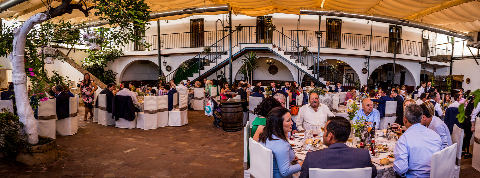 Boda de ensueño. Descubre los 6 primeros pasos para organizarla-Celebración